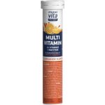 Vitar Maxi Vita Multivit.11vit.+rakyt.pomer. eff.20 tablet – Hledejceny.cz