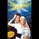Žbluňk DVD – Zboží Dáma