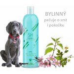 Record Šampon PROFESIONAL herbal extracts bylinný 250 ml – Zboží Mobilmania