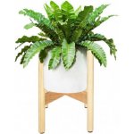 SPRINGOS Dřevěný stojan na květiny 35 cm SPRINGOS QAURTER KWD002-XG přírodní – Zboží Dáma