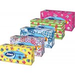 Zewa Everyday papírové kapesníčky 2-vrstvé 100 ks – Zboží Dáma