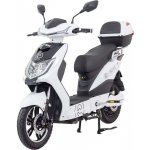 Racceway E-Fichtl 250W 12Ah bílá lesklá – Zboží Mobilmania