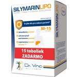 DaVinciAcademia Silymarin Lipo 45 kapslí – Hledejceny.cz
