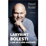 Labyrint bolesti - Kolář Pavel – Zboží Mobilmania