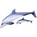 Gaby polštář Delfín giant 125 cm – Zboží Dáma