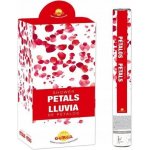 Textilní vystřelovací konfety Okvětní lístky růží červené – Hledejceny.cz