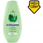 Schauma balzám 7-Herbs Freshness 250 ml – Sleviste.cz