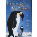 Putování tučňáků DVD