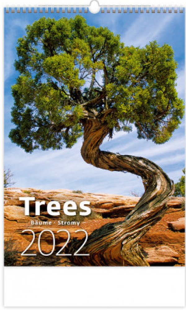 HELMA 365 Trees/Bäume/Stromy N125-22 2022 | Srovnanicen.cz