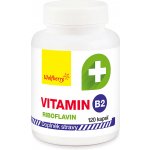 Wolfberry Vitamín B2 Riboflavin 120 kapslí – Hledejceny.cz