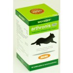 Rosen Pharma Arthronis fáze 2 Mini 60 tbl – Hledejceny.cz
