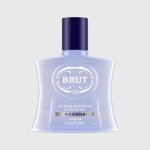 Brut Oceans voda po holení 100 ml – Zboží Dáma