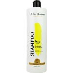IV San Bernard Banánový PLUS 1000 ml – HobbyKompas.cz IV San Bernard Banánový PLUS 1000 ml – HobbyKompas.cz
