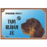 Dafiko Tabulka jezevčík drsnosrstý – Hledejceny.cz