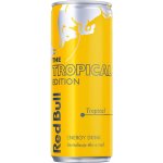 Red Bull The Tropical Edition 250ml – Zbozi.Blesk.cz