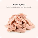 Vilgain Tuňák ve vlastní šťávě 120 g – Hledejceny.cz