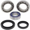 Ložisko do motoru pro motorku Differential Kit All Balls Racing DB25-2134