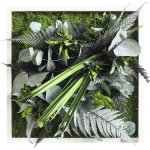 Obraz z rostlin styleGREEN Džungle 35x35 cm – Zboží Mobilmania