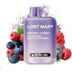 Elf Bar 1000 Blueberry Sour Raspberry 20 mg 1000 potáhnutí – Zboží Dáma