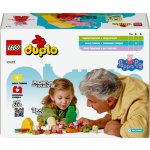 LEGO® DUPLO® 10452 Prasátko Peppa Táboření – Zboží Živě