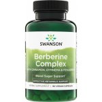 Swanson Berberin Complex Skořice Gymnema Fenugreeek 90 kapslí – Hledejceny.cz