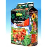 Agro CS Floria Substrát pro jahody 40 l – Hledejceny.cz