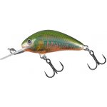 Salmo Hornet Floating Holo Oikawa 3,5 cm – Hledejceny.cz
