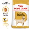 Granule pro psy Royal Canin Sterilised Labrador Retriever Adult 3 kg