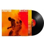 Nothing But Thieves - Moral Panic LP – Hledejceny.cz