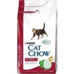 Cat Chow Special Care Urinary Tract Health 15 kg – Hledejceny.cz