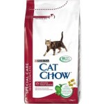 Cat Chow Special Care Urinary Tract Health 15 kg – Sleviste.cz