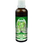 Naděje Černý rybíz maliník tinktura z pupenů rostlin 50 ml – Hledejceny.cz