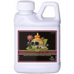 Advanced Nutrients Voodoo Juice 250 ml – Sleviste.cz