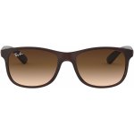 Ray-Ban RB4202 6073 13 – Hledejceny.cz