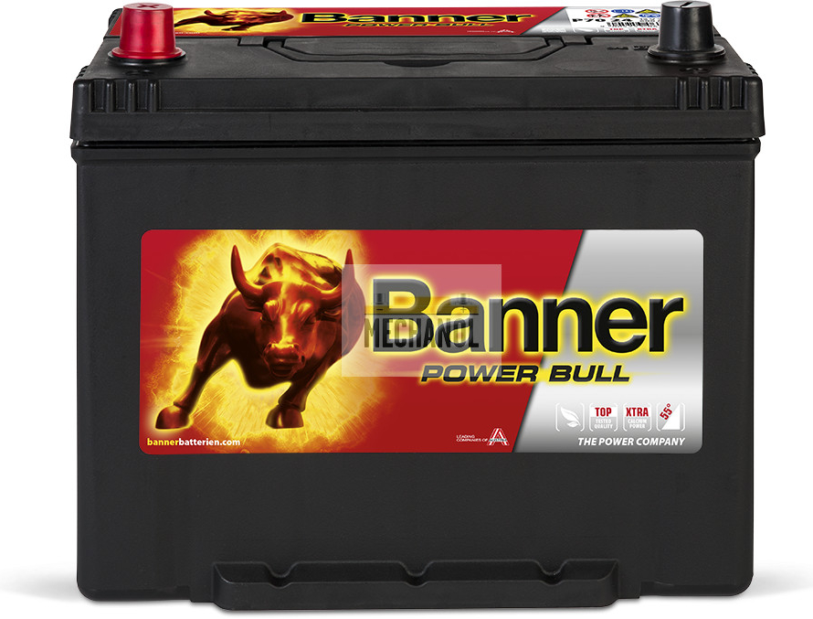 Banner Power Bull 12V 70Ah 600A P70 24