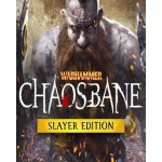 Warhammer: Chaosbane (Slayer Edition) – Hledejceny.cz