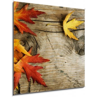 Skleněný obraz 1D - 50 x 50 cm - Autumn Leaves over wood background.With copy space Podzimní listí nad dřevěným podkladem – Zbozi.Blesk.cz