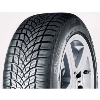 Pneumatiky Dayton WD510 EVO 195/65 R15 91T