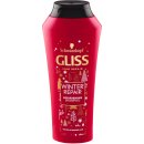 Gliss Kur Winter Repair regenerační šampon 250 ml