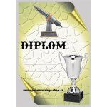 VIZINGR Svíčka diplom A4 č.28 – Zbozi.Blesk.cz