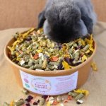 Aniland Přírodní směs Kouzelná Zahrádka v krabičce 0,5 kg – Zboží Dáma