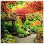 Dimex FL170-026 samolepící fototapeta na podlahu Japonská zahrada rozměry 170 x 170 cm – Hledejceny.cz