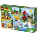 LEGO® DUPLO® 10907 Zvířata světa