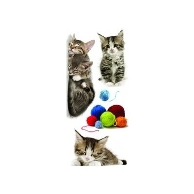 Samolepicí dekorace Cats 59452 / Samolepky na zeď Crearreda (15 x 31 cm) – Hledejceny.cz