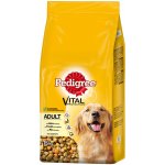 Pedigree Adult kuře a zelenina 15 kg – Zboží Mobilmania