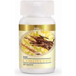 DXN Cordyceps housenice 60 kapslí – Hledejceny.cz
