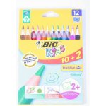 Bic Evolution Triangle 12 barev BIC 8871463 – Zboží Živě