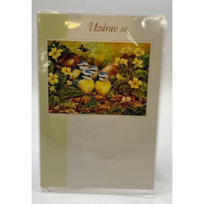 Přání s obálkou, Brzké uzdravení, mix motivů Varianta: 1 – Zboží Dáma