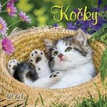 Kočky nástěnný 33 x 33 cm 2026 – Zboží Dáma
