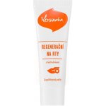 Aromatica Kosmín Bylinná regenerační mast na rty 25 ml – Zboží Dáma